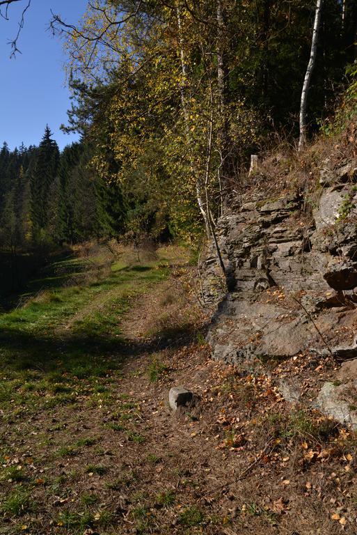 Pension Najdek Žďár nad Sázavou المظهر الخارجي الصورة